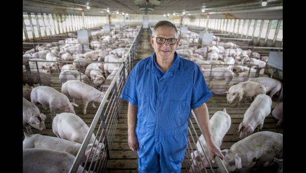Special photo. Hog operations that were forced to depopulate hogs and turkey producers who marketed fewer liveweight pounds due to supply chain back-ups during the COVID-19 pandemic can now apply for cost-share funds to recoup some of their losses.