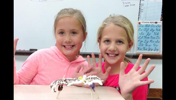 Special Photo. STEM project in Mrs. Rabaey’s class. Niara Gorecki and Natalie Ratajczak built “Bone Bridges “ with Q-tips and pipe cleaners.