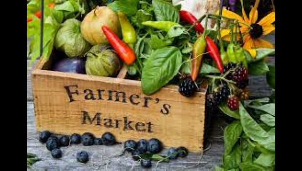 Mascot photo by Scott Thoma Weekly market to begin July 22; vendors, entertainers sought.