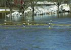 This is about the highest the water got at KP Kompelien Park before it began to recede. 