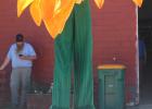 Penelope Fratelli, who goes by “Penelope Popper” entertained fair-goers with this 15-foot sunflower costume as she paraded around the fairgrounds on stilts. 