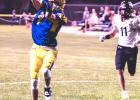 Minneota tight end Sam Myhre hauls in a TD pass from Tristen Sussner Friday night.