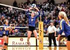 Morgan Kockelman