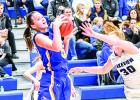 Photo for the Mascot by Brian Jeremiason Lydia snares a rebound in front of Lakeview's Kaitlynn Bot.