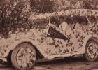 This 1916 Cadillac, owned by The Big Store in Minneota, was decorated for the town's annual parade in 1917. The vehicle was donated to the City of Minneota the following year.