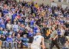 Photo by Brian Jeremiason Minneota fans erupt.