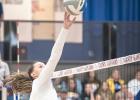 Minneota top seed in 3A-N volleyball