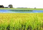 Water has kept some fields inundated with moisture.
