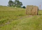 The Minnesota Department of Transportation has released a report with recommendations regarding the agency&rsquo;s mowing and haying permit process.